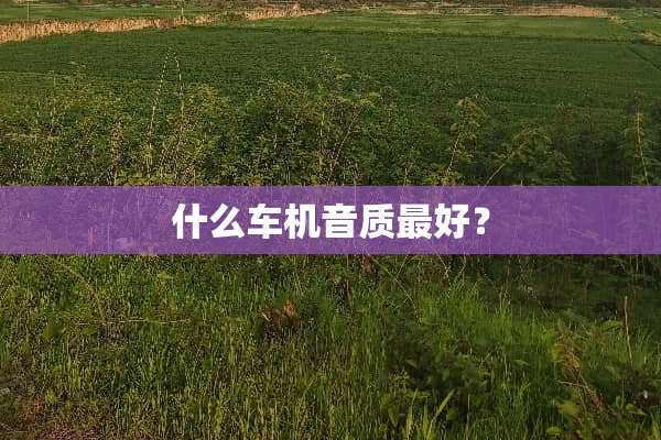 什么车机音质最好？