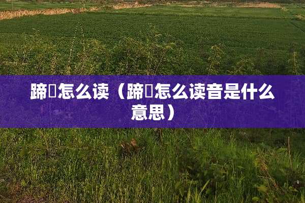 蹄髈怎么读（蹄髈怎么读音是什么意思）
