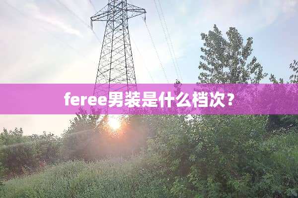 feree男装是什么档次？