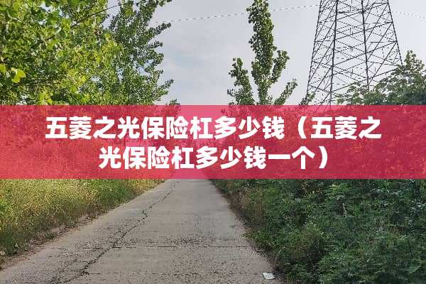 五菱之光保险杠多少钱（五菱之光保险杠多少钱一个）