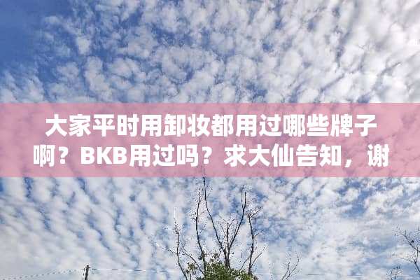 大家平时用卸妆都用过哪些牌子啊？BKB用过吗？求大仙告知，谢谢？