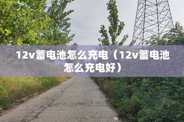 12v蓄电池怎么充电（12v蓄电池怎么充电好）