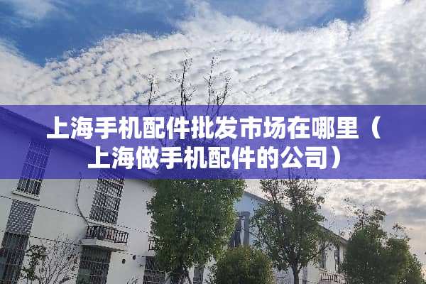 上海手机配件批发市场在哪里（上海做手机配件的公司）
