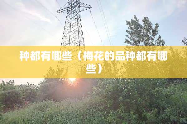 种都有哪些（梅花的品种都有哪些）