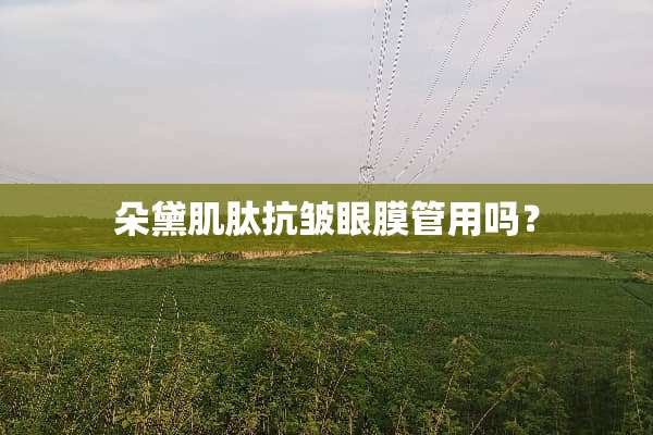 朵黛肌肽抗皱眼膜管用吗？