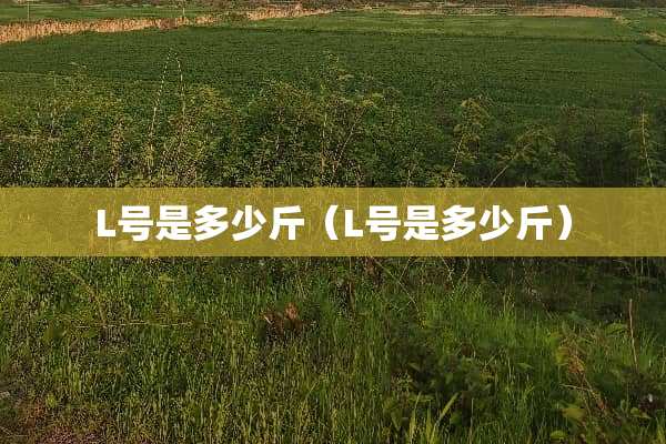 L号是多少斤（L号是多少斤）