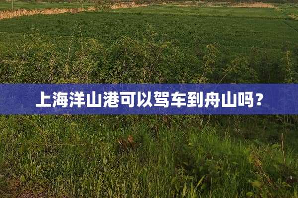 上海洋山港可以驾车到舟山吗？