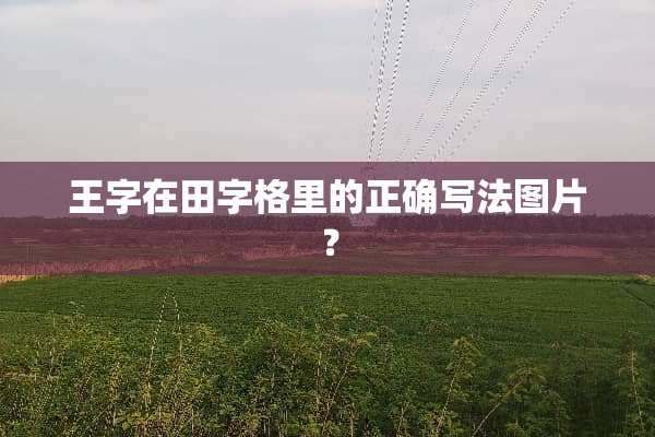王字在田字格里的正确写法图片？