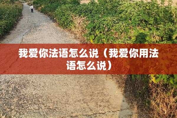 我爱你法语怎么说（我爱你用法语怎么说）