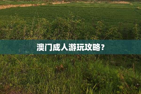 ****游玩攻略？