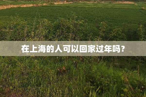 在上海的人可以回家过年吗？