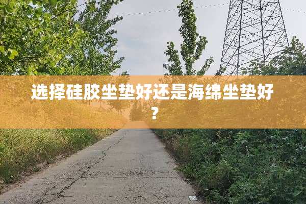 选择硅胶坐垫好还是海绵坐垫好？