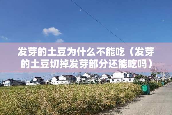 发芽的土豆为什么不能吃（发芽的土豆切掉发芽部分还能吃吗）