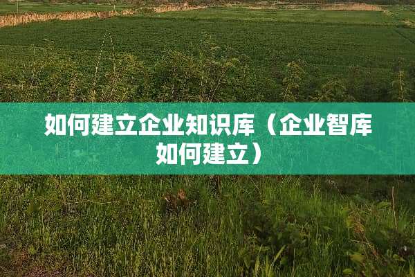 如何建立企业知识库（企业智库如何建立）