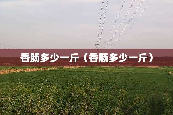 香肠多少一斤（香肠多少一斤）