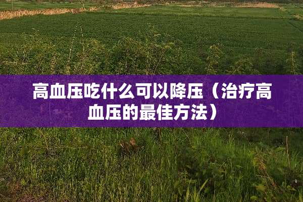 高血压吃什么可以降压（治疗高血压的最佳方法）