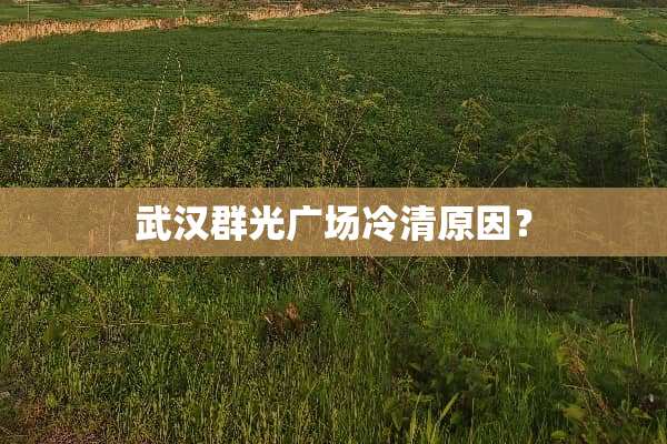 武汉群光广场冷清原因？