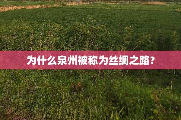 为什么泉州被称为丝绸之路？