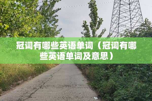 冠词有哪些英语单词（冠词有哪些英语单词及意思）