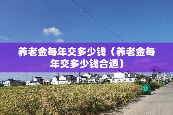 养老金每年交多少钱（养老金每年交多少钱合适）