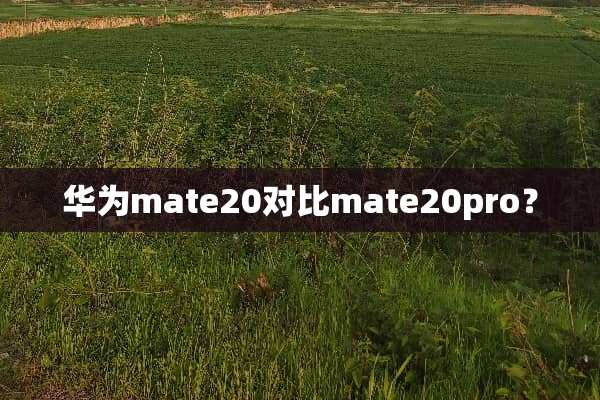 华为mate20对比mate20pro？
