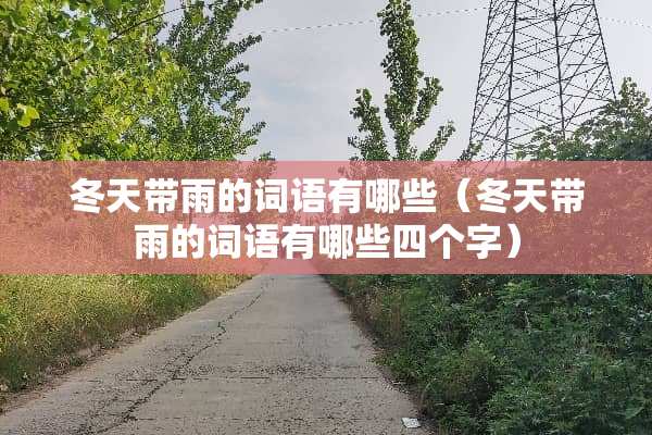 冬天带雨的词语有哪些（冬天带雨的词语有哪些四个字）