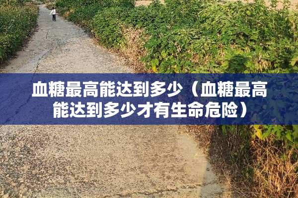 血糖最高能达到多少（血糖最高能达到多少才有生命危险）