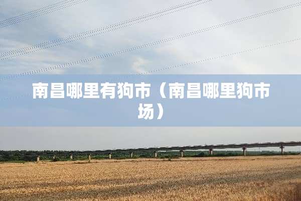 南昌哪里有狗市（南昌哪里狗市场）