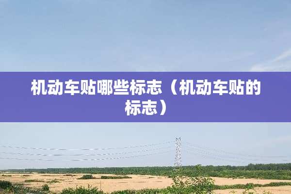 机动车贴哪些标志（机动车贴的标志）