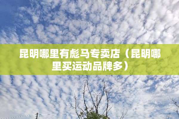 昆明哪里有彪马专卖店（昆明哪里买运动品牌多）