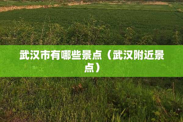 武汉市有哪些景点（武汉附近景点）