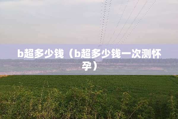 b超多少钱（b超多少钱一次测怀孕）