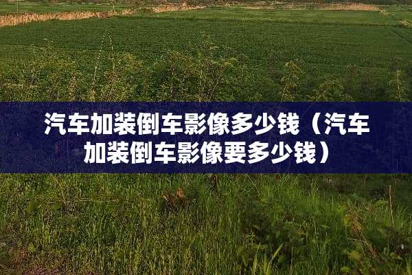 汽车加装倒车影像多少钱（汽车加装倒车影像要多少钱）