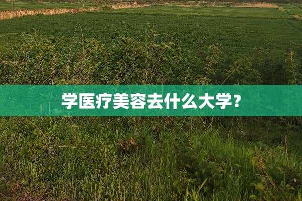 学医疗美容去什么大学？