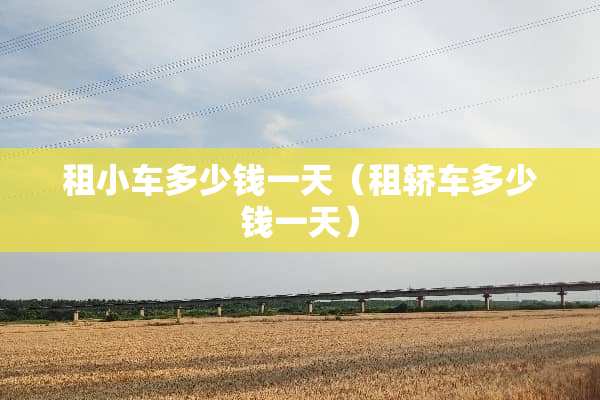 租小车多少钱一天（租轿车多少钱一天）