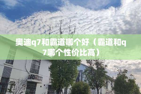 奥迪q7和霸道哪个好（霸道和q7哪个性价比高）