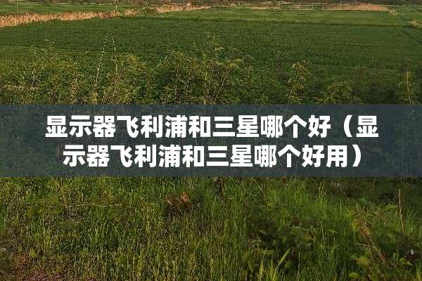显示器飞利浦和三星哪个好（显示器飞利浦和三星哪个好用）