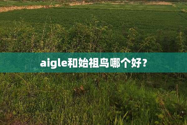aigle和始祖鸟哪个好？