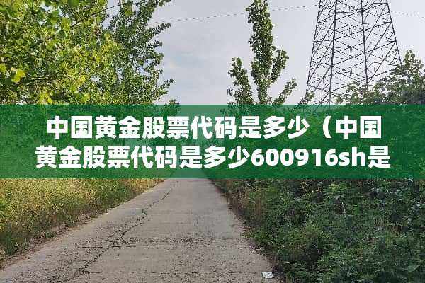 中国黄金股票代码是多少（中国黄金股票代码是多少600916sh是假的还是真的）