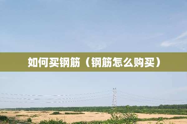 如何买钢筋（钢筋怎么购买）