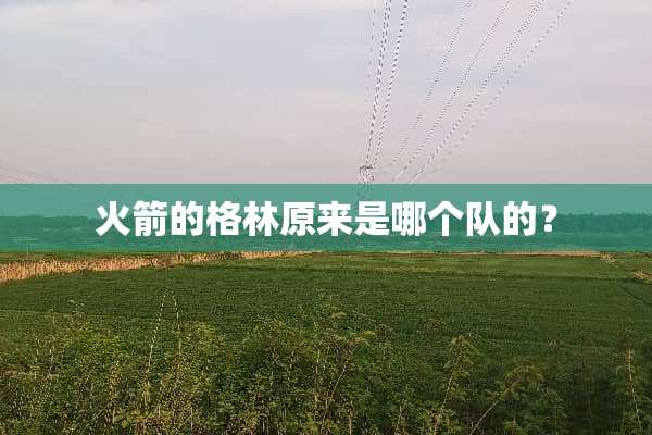 火箭的格林原来是哪个队的？