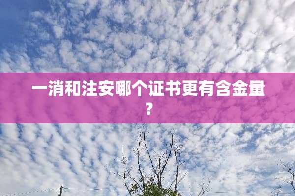 一消和注安哪个证书更有含金量？