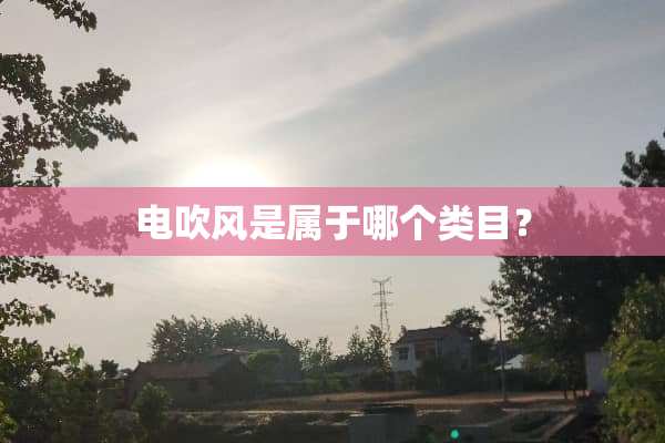 电吹风是属于哪个类目？