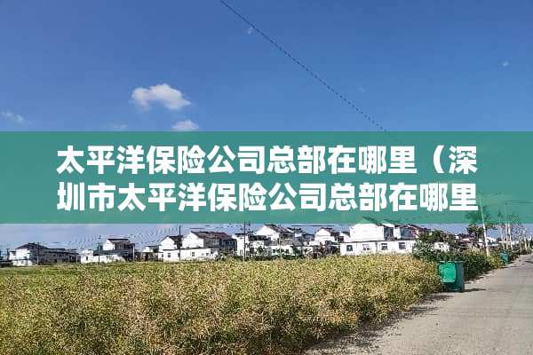 太平洋保险公司总部在哪里（深圳市太平洋保险公司总部在哪里）