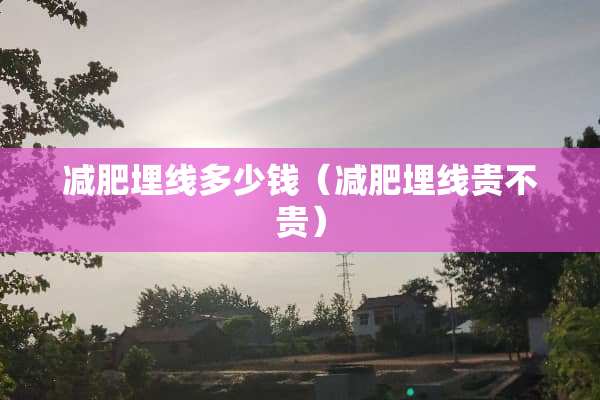 减肥埋线多少钱（减肥埋线贵不贵）