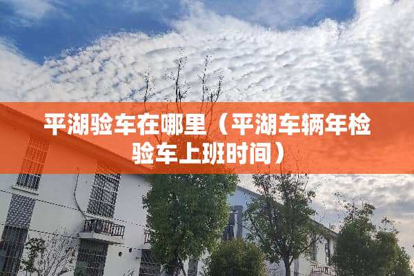 平湖验车在哪里（平湖车辆年检验车上班时间）