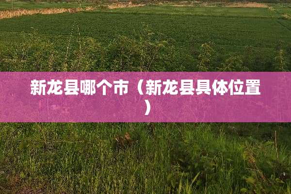 新龙县哪个市（新龙县具**置）