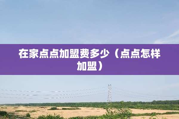 在家点点加盟费多少（点点怎样加盟）