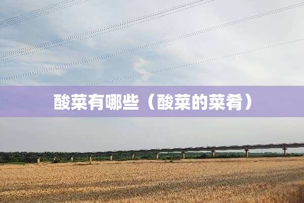 酸菜有哪些（酸菜的菜肴）