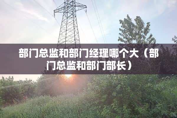 部门总监和部门经理哪个大（部门总监和部门部长）